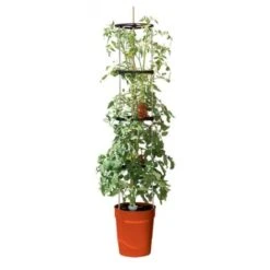 Tomatentoren Met Bewateringssysteem - 150 Cm -GroenLeven 1519073837 2 600