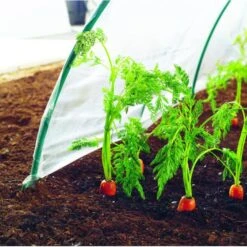 Kweekfolie / Tunnelfolie - 2 × 10 M -GroenLeven 1534088191 1 600