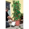 Plantentoren Maxitom Met Waterreservoir - Terracotta -GroenLeven 1677510667 1 600