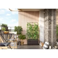 Kweekbak City Jungle Basic Met Klimframe 10 Kweekbak City Jungle Basic Met Klimframe -GroenLeven 1677572003 1 600