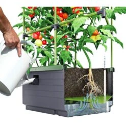 Kweekbak City Jungle Basic Met Klimframe 11 Kweekbak City Jungle Basic Met Klimframe -GroenLeven 1677572003 2 600