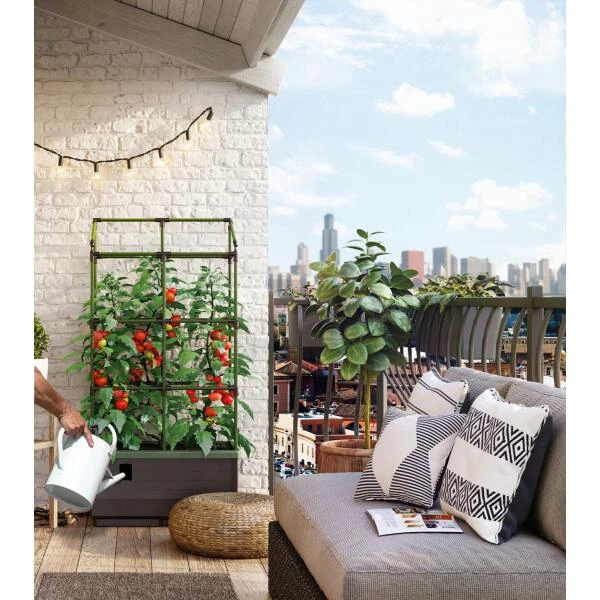 Kweekbak City Jungle Basic Met Klimframe 7 Kweekbak City Jungle Basic Met Klimframe - Afbeelding 5