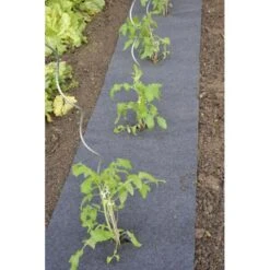 Gronddoek Vilt Met Openingen Voor Tomaten En Aardbeien - 60 Cm X 5 M