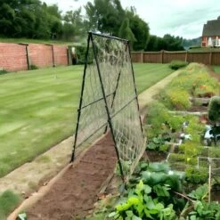 Klimframe Voor Bonen - 100 X 180 Cm -GroenLeven 1715685229 3 600