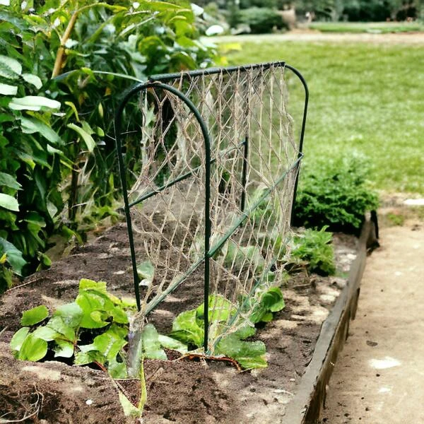 Hoepel Voor Erwten - 100 X 30 X 100 Cm 4 Hoepel Voor Erwten - 100 X 30 X 100 Cm - Afbeelding 2