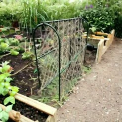 Hoepel Voor Erwten - 100 X 30 X 100 Cm 7 Hoepel Voor Erwten - 100 X 30 X 100 Cm -GroenLeven 1715685287 3 600