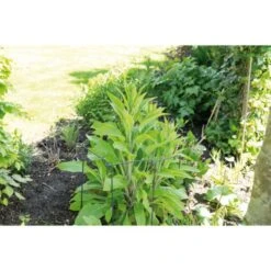 Sogo Plantensteun Koppelbaar 30 X 76 Cm 6 Sogo Plantensteun Koppelbaar 30 X 76 Cm -GroenLeven 1743001138 2 600