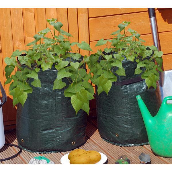 GroenLeven 33 GroenLeven -GroenLeven aardappel kweekzak groen 1484053819 2 600 1