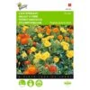 Afrikaan Bonita - Tagetes Patula Nana -GroenLeven afrikaan bonita tagetes patula nana 1646840331 447 600