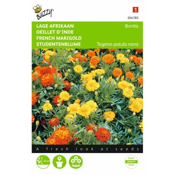 Afrikaan Bonita - Tagetes Patula Nana