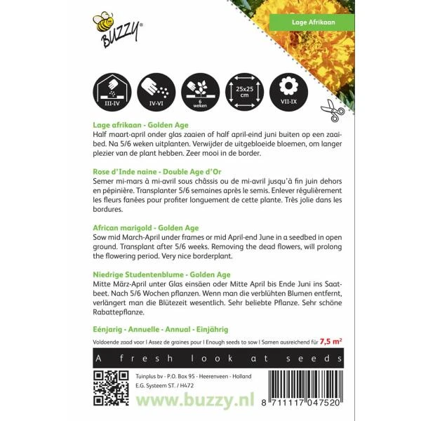 Afrikaan Golden Age - Tagetes Erecta - Afbeelding 2
