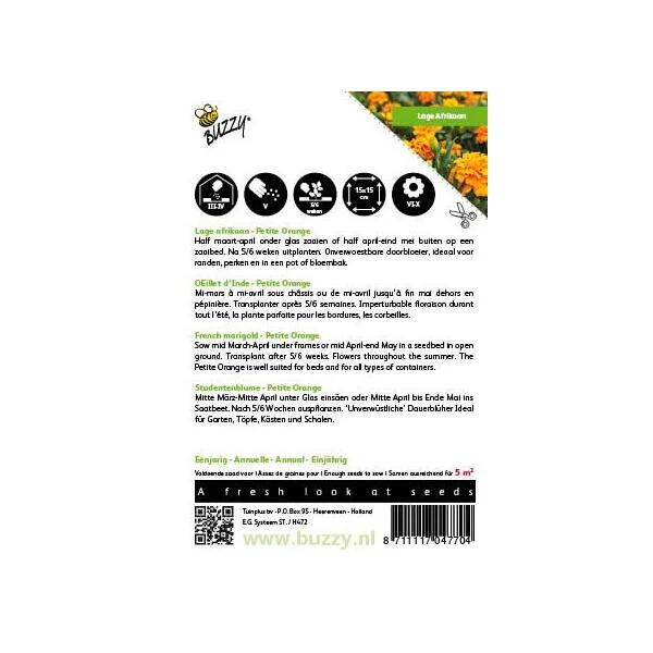 Afrikaan Petite Orange - Tagetes Patula Nana 4 Afrikaan Petite Orange - Tagetes Patula Nana - Afbeelding 2
