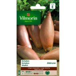 Ajuin Echalion Zebrune