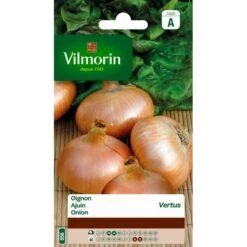 Ajuin Strogele Van Vertus