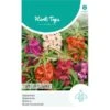 Balsamien - Impatiens Balsamina -GroenLeven balsamien impatiens balsamina 1646840362 1104 600