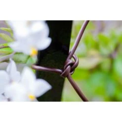 Bindbuis Elastisch Ø 2,5 Mm - Bruin 40 M 8 Bindbuis Elastisch Ø 2,5 Mm - Bruin 40 M -GroenLeven bindbuis bruin 135 g 1484066131 2 600