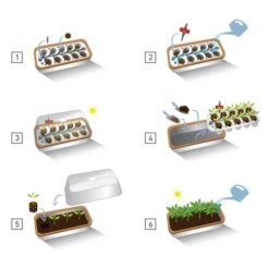 Binnenkas BoQube Plus Romberg - 41 × 17 × 23 Cm -GroenLeven binnenkas boqube 41 x 17 x 23 cm 1656509792 5 600