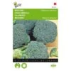 Broccoli Groene Calabria - Brassica Oleracea 2 Broccoli Groene Calabria - Brassica Oleracea -GroenLeven broccoli groene calabria brassica oleracea 1646840316 99 600