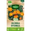 Calendula BIO - Goudsbloem 2 Calendula BIO - Goudsbloem -GroenLeven calendula bio 1646400356 1 600