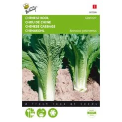 Chinese Kool Zelfsluitende Granaat - Brassica Pekinensis