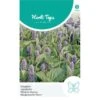 Dropplant - Agastache Mexicana 1 Dropplant - Agastache Mexicana -GroenLeven dropplant agastache mexicana 1646840359 1024 600