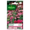Duizendschoon Indisch Tapijt - Dianthus Barbatus -GroenLeven duizendschoon indisch tapijt dianthus barbatus 1646839545 234 600