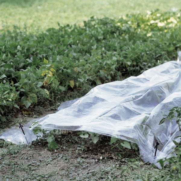 GroenLeven 10 GroenLeven -GroenLeven folie voor kweektunnel 2 x 10 m 1484061197 1 600 1