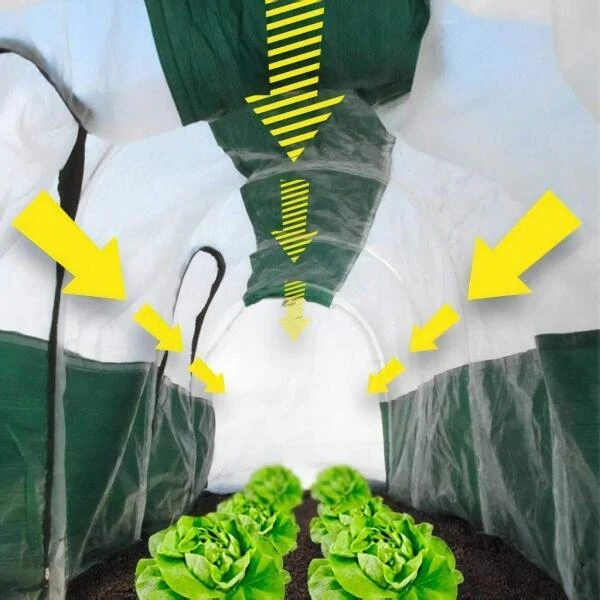 Folietunnel Superdome - 300 × 70 × 70 Cm 6 Folietunnel Superdome - 300 × 70 × 70 Cm - Afbeelding 4