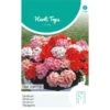 Geranium Magic Beauty - Pelargonium Zonale 1 Geranium Magic Beauty - Pelargonium Zonale -GroenLeven geranium magic beauty pelargonium zonale 1646840363 1128 600