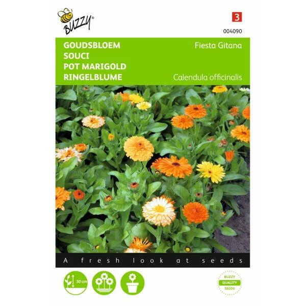 Goudsbloem Fiesta Gitana 3 Goudsbloem Fiesta Gitana