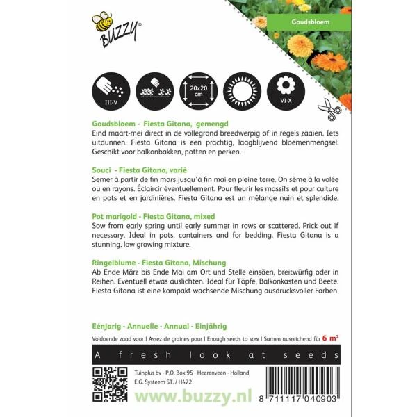 Goudsbloem Fiesta Gitana 4 Goudsbloem Fiesta Gitana - Afbeelding 2