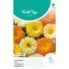 Goudsbloem Pacific Beauty - Calendula Officinalis 2 Goudsbloem Pacific Beauty - Calendula Officinalis -GroenLeven goudsbloem pacific beauty calendula officinalis 1646840359 1040 600
