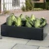 Groeibed 97,5 ร 50 ร 25 Cm 2 Groeibed 97,5 ร 50 ร 25 Cm -GroenLeven groeibed 975 x 50 x 25 cm 1484055485 1 600