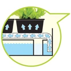 Groeilicht Met Kweekset - Zwart -GroenLeven groeilicht met kweekset zwart 1484063021 3 600