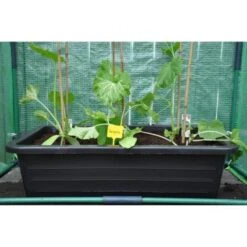 Kweekbak 40 Liter -GroenLeven grote kweekbak 40 liter 1484056513 5 600