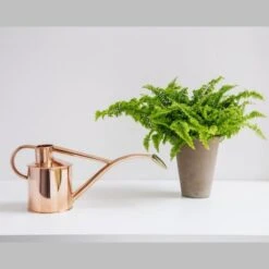 Haws Giftbox Gieter En Vernevelaar - Koper -GroenLeven haws giftbox koper 1485175232 0 600