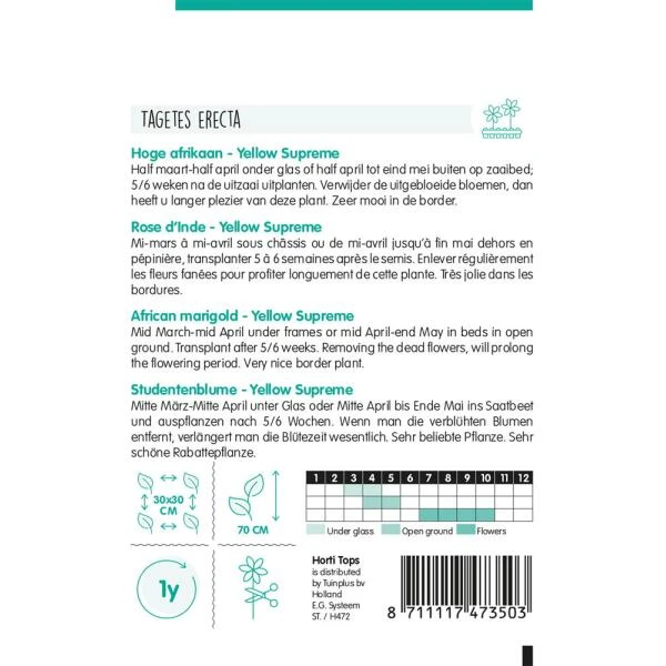 Hoge Afrikaan Yellow Supreme - Tagetes Erecta - Afbeelding 2