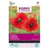 Klaproos Corn Poppy - Papaver Rhoeas 1 Klaproos Corn Poppy - Papaver Rhoeas -GroenLeven klaproos corn poppy papaver rhoeas 1646840341 657 600
