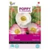 Klaproos Sherley - Papaver -GroenLeven klaproos sherley papaver 1646840341 655 600