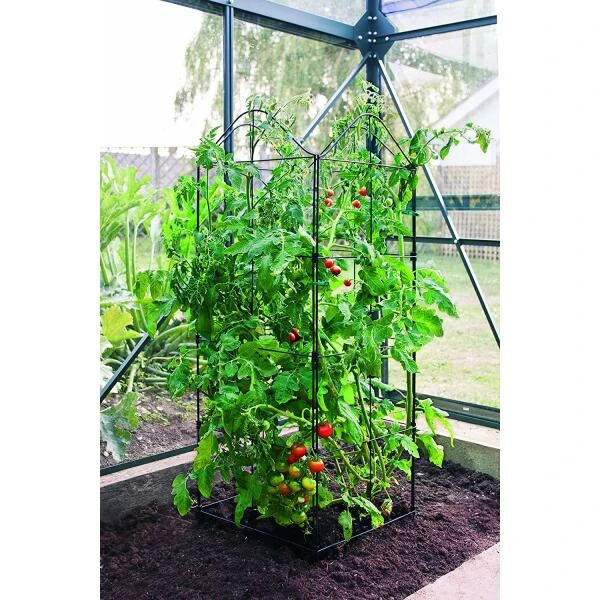 Klimplantensteun - Moduleerbare Steunpanelen 4 Klimplantensteun - Moduleerbare Steunpanelen - Afbeelding 2