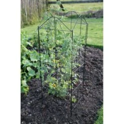 Klimplantensteun - Moduleerbare Steunpanelen 13 Klimplantensteun - Moduleerbare Steunpanelen -GroenLeven klimplantensteun rekken 1549797641 3 600