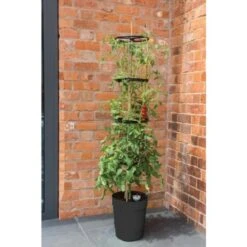 Tomatentoren 150 Cm Met Bewateringssysteem - Grijs -GroenLeven klimplantentoren met bewateringssysteem 1519073384 2 600