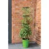 Klimplantentoren 150 Cm Met Bewateringssysteem - Groen -GroenLeven klimplantentoren met bewateringssysteem 1519073626 1 600