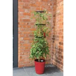 Tomatentoren Met Bewateringssysteem - 150 Cm -GroenLeven klimplantentoren met bewateringssysteem 1519074088 1 600