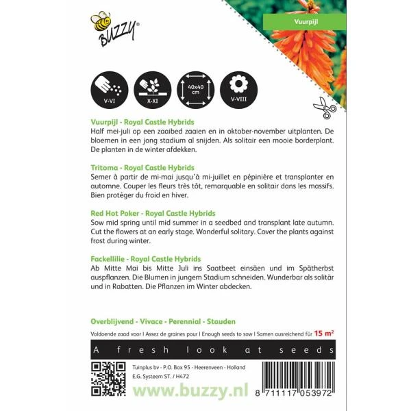 Kniphofia Uvaria Royal Castle Hybrids 4 Kniphofia Uvaria Royal Castle Hybrids - Afbeelding 2