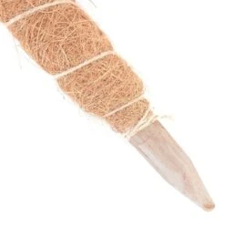 Kokos Kamerplantensteun - Plantstok Ø45 Mm × 1 M 9 Kokos Kamerplantensteun - Plantstok Ø45 Mm × 1 M -GroenLeven kokos plantensteun 45 mm x 1 m 1622717806 4 600