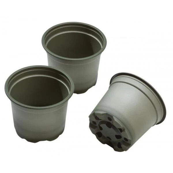 Kweekpot P13 Rond - Biologisch Afbreekbaar - Set Van 5 Stuks 5 Kweekpot P13 Rond - Biologisch Afbreekbaar - Set Van 5 Stuks - Afbeelding 3