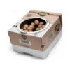 Kweekset 7,5 Liter Bruine Champignons 1 Kweekset 7,5 Liter Bruine Champignons -GroenLeven kweekset bruine champignons 1484067274 1 600