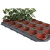 Tray Met 18 Ronde Kweekpotten 9 Cm -GroenLeven kweektray 18 potten 9 cm 1484055982 1 600