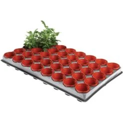 Tray Met 40 Kweekpotjes 6 Cm 7 Tray Met 40 Kweekpotjes 6 Cm -GroenLeven kweektray 40 potjes 6 cm 1599819541 1 600